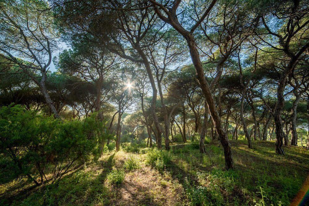 Apartamentos Costa Luz Punta Umbría Εξωτερικό φωτογραφία